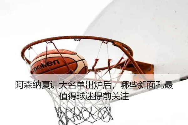 阿森纳夏训大名单出炉后，哪些新面孔最值得球迷提前关注